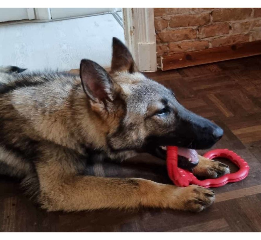 Dog Toy Tug