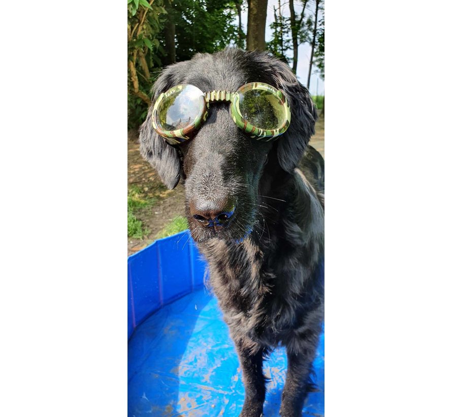 Dog Sunglasses Camouflage