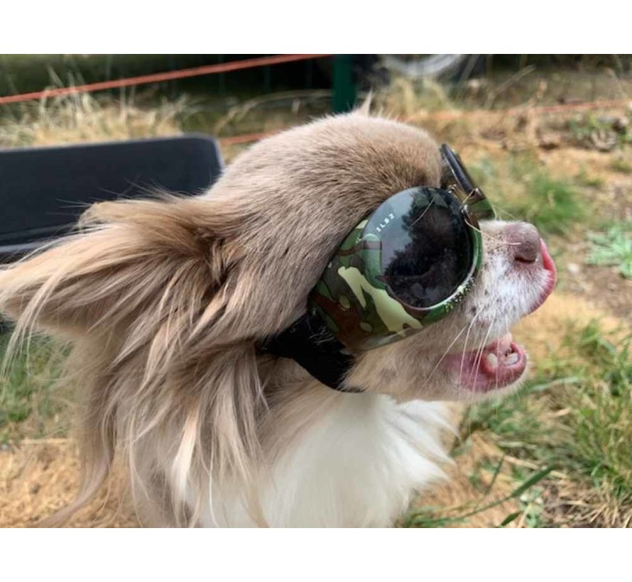 Dog Sunglasses Camouflage