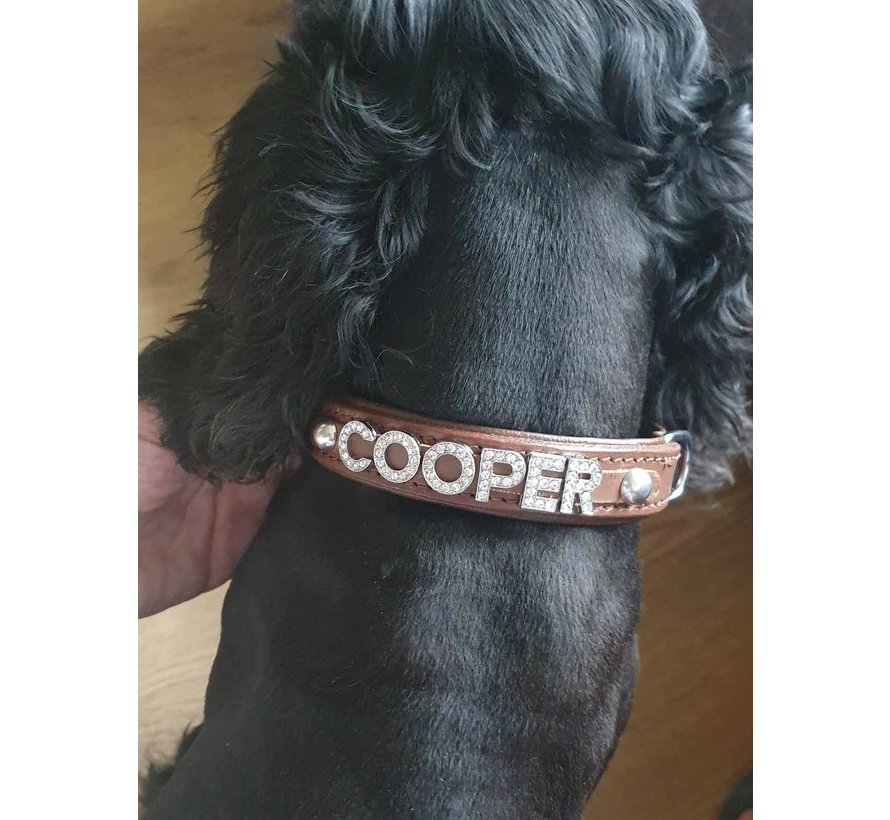 Dog collar with name Medium Brown