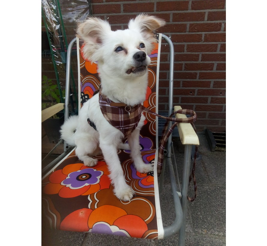 Hondentuig Round Loop Harness Scottish Brown