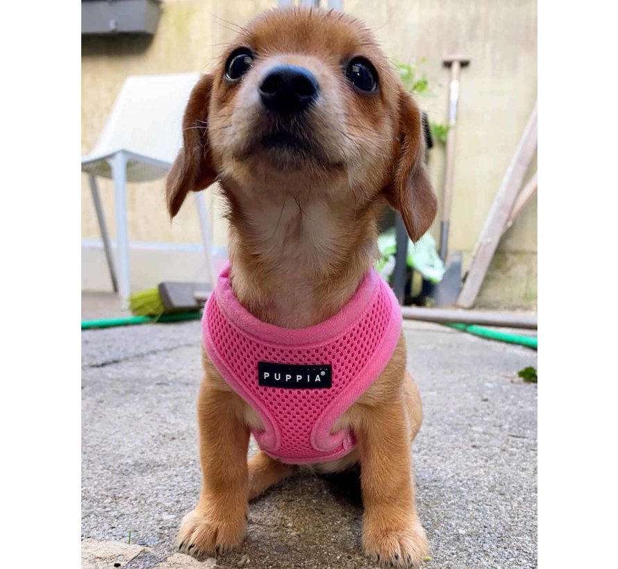 Dog Harness Soft Harness Pink