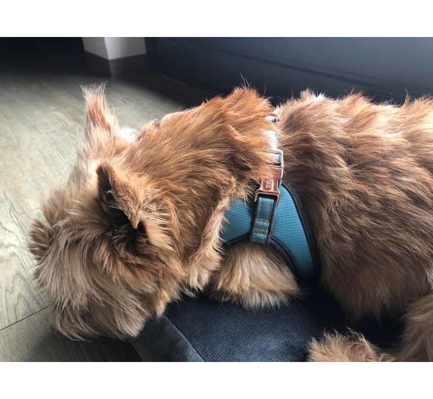 Dog Harness Fast Fit Urban Turquoise Moon