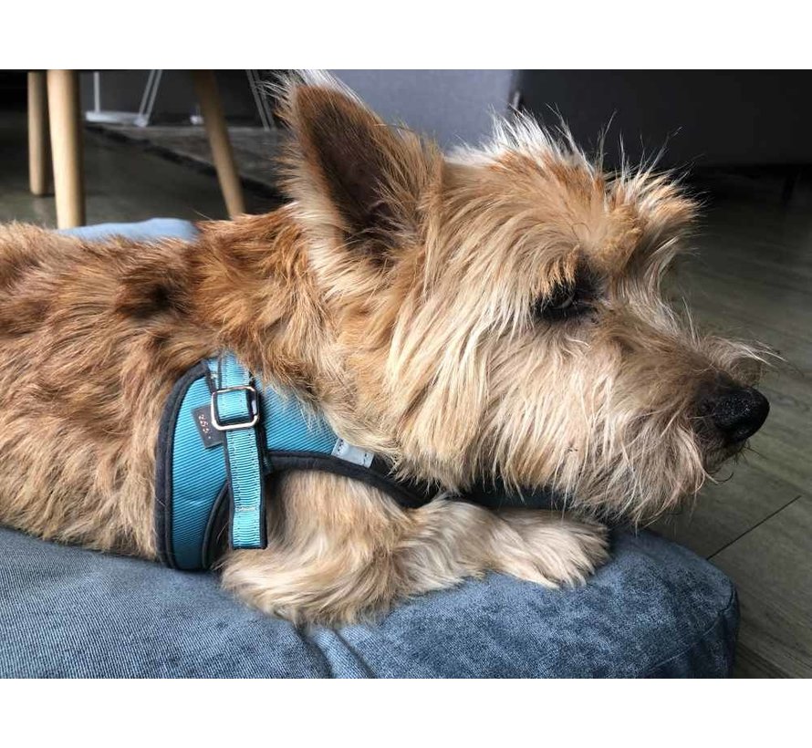 Dog Harness Fast Fit Urban Turquoise Moon