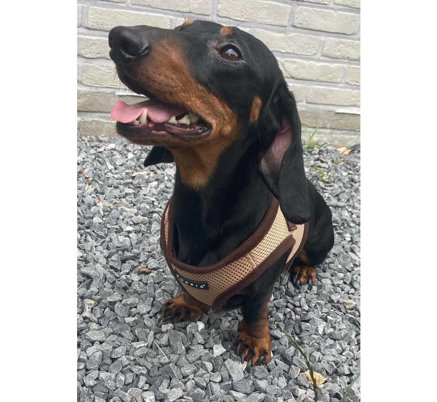 Hondentuig Soft Vest Harness Beige