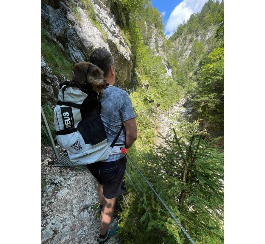 Hondendraagtas Rugzak Knavigate Grijs