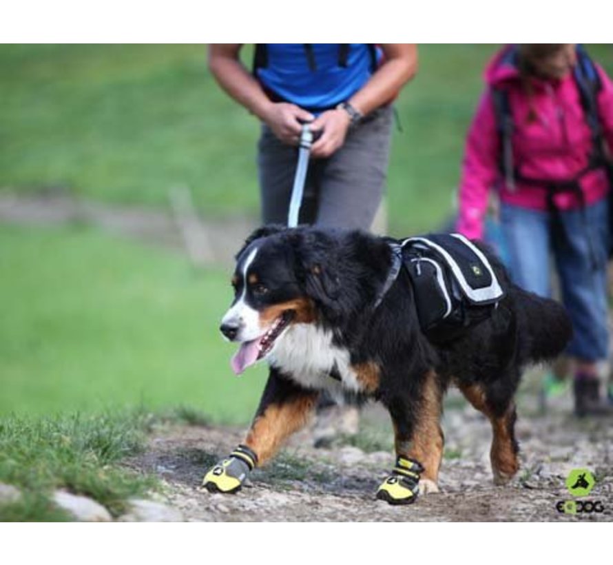 Dog Shoe 4Seasons Yellow