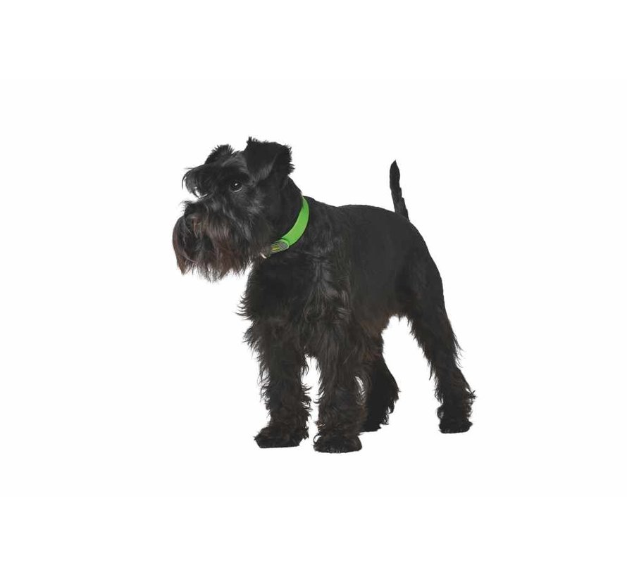 Dog Collar Convenience Green