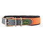 Dog Collar Convenience Comfort Orange