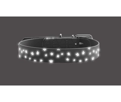 Hunter Dog Collar Convenience Reflect Stars