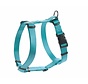 Dog Harness Ecco Sport Basic Turquoise