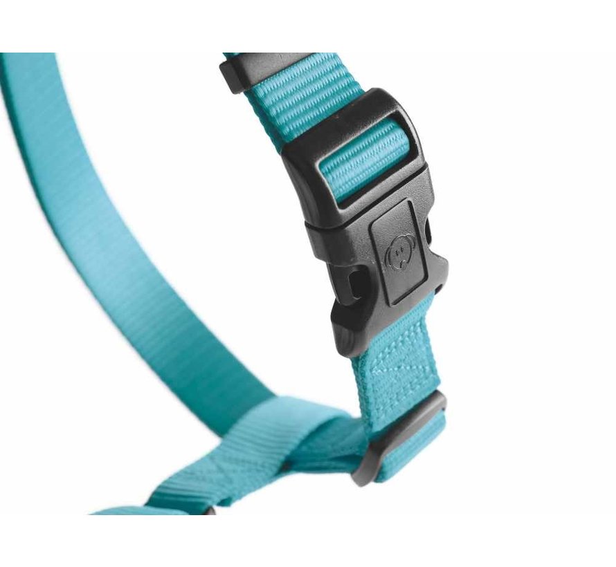 Hondentuig Ecco Sport Basic Turquoise