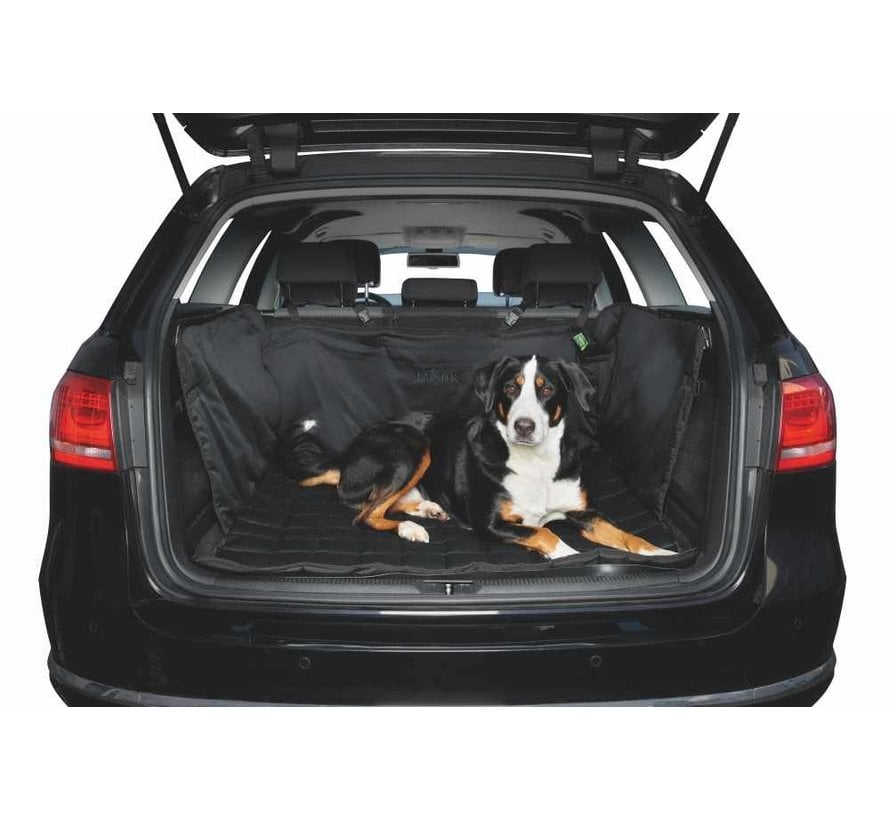 Dog Blanket for the trunk