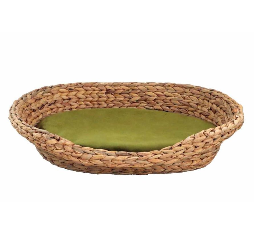 Dog Bed Water Hyacinth Olive Cushion