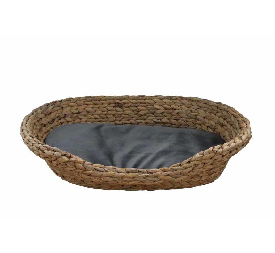 Dog Bed Water Hyacinth Grey Cushion
