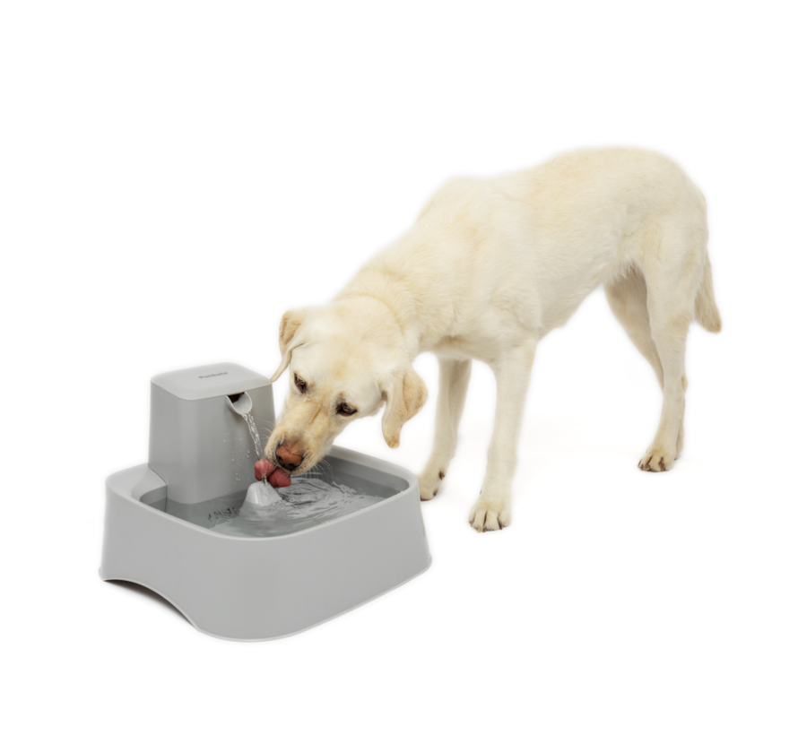 Pet Fountain Drinkwell 7.5 liters