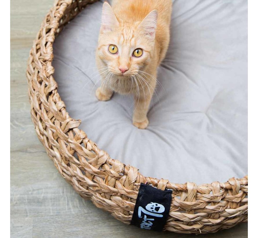 Wicker Pet Bed Cocoon