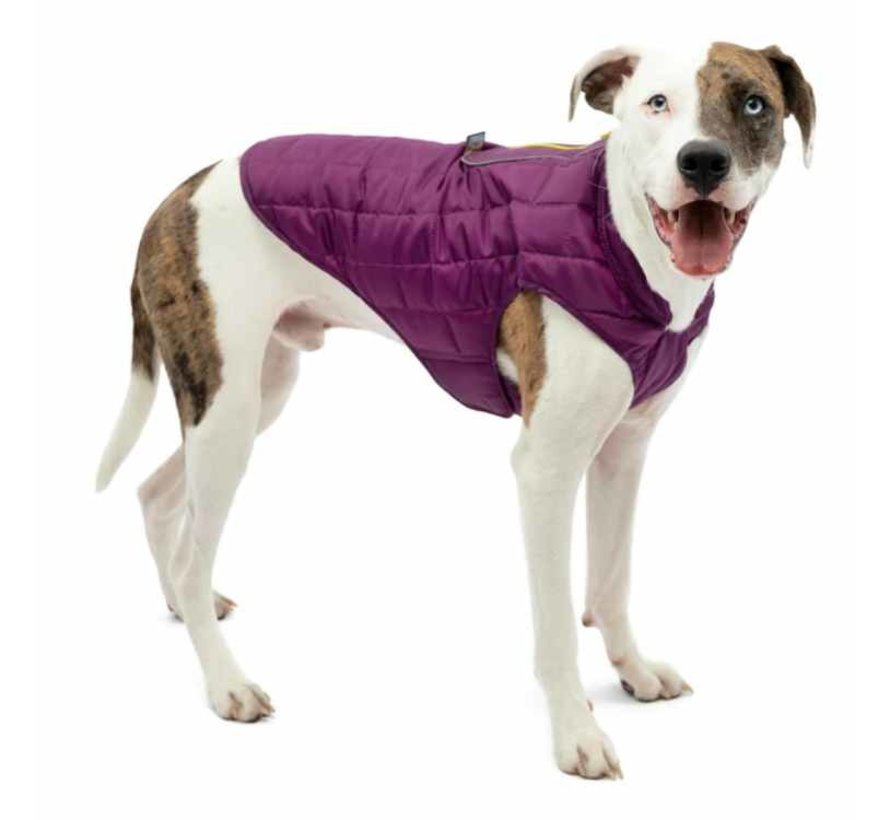 Dog Coat Jacket Loft Purple / Grey