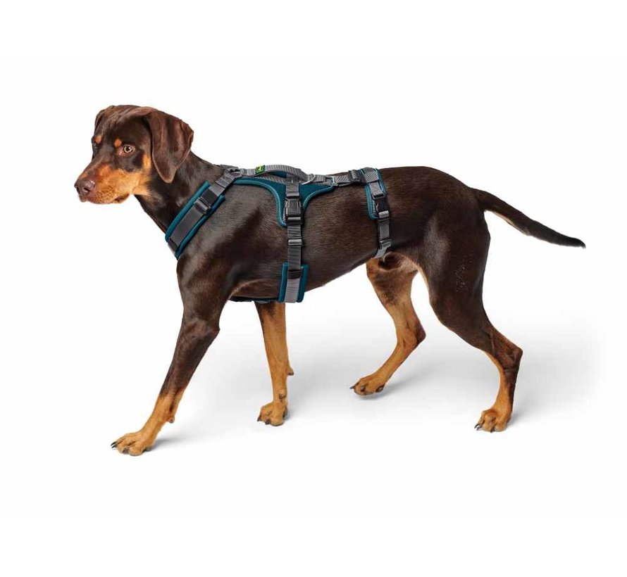 Safety Harness Maldon Teal