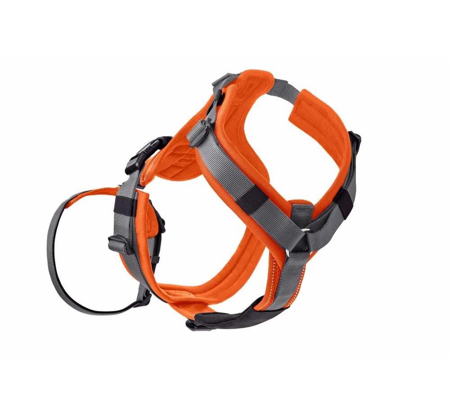 Safety Harness Maldon Orange