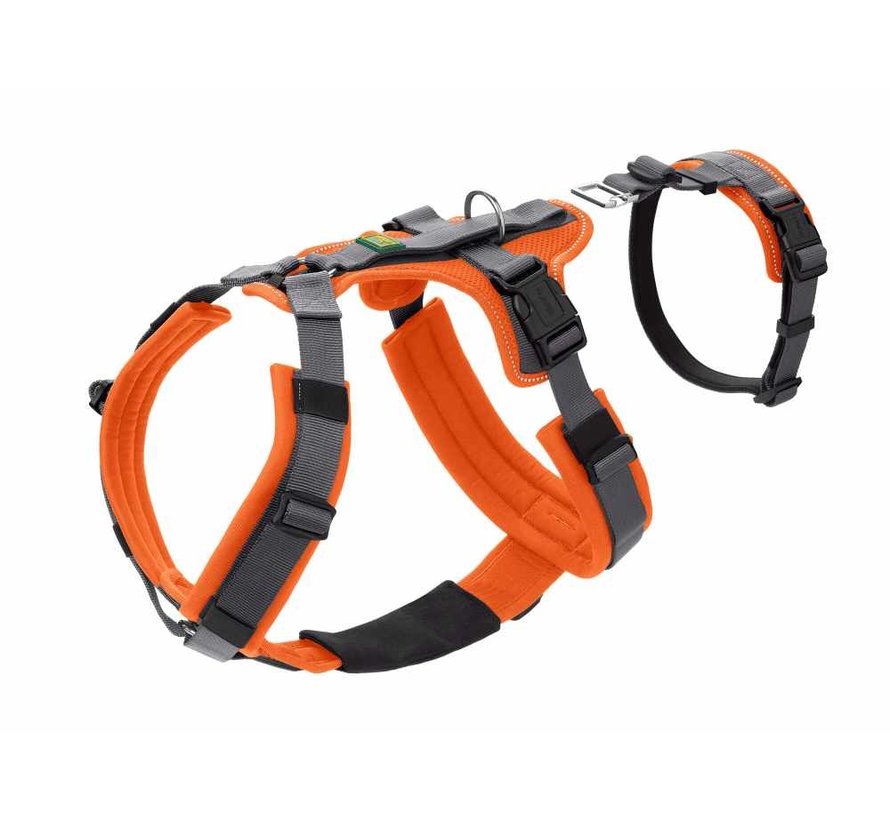 Safety Harness Maldon Orange