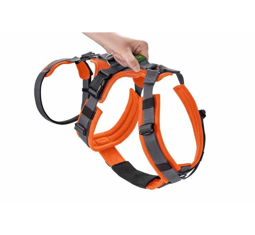 Safety Harness Maldon Orange