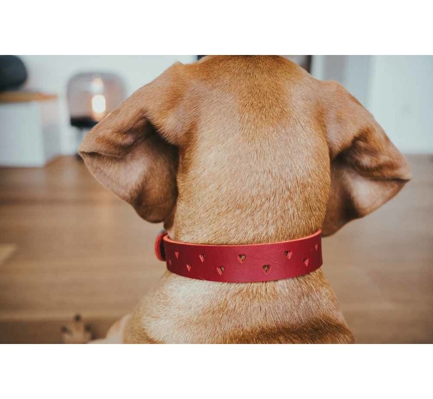 Dog Collar Aalborg Soul Red