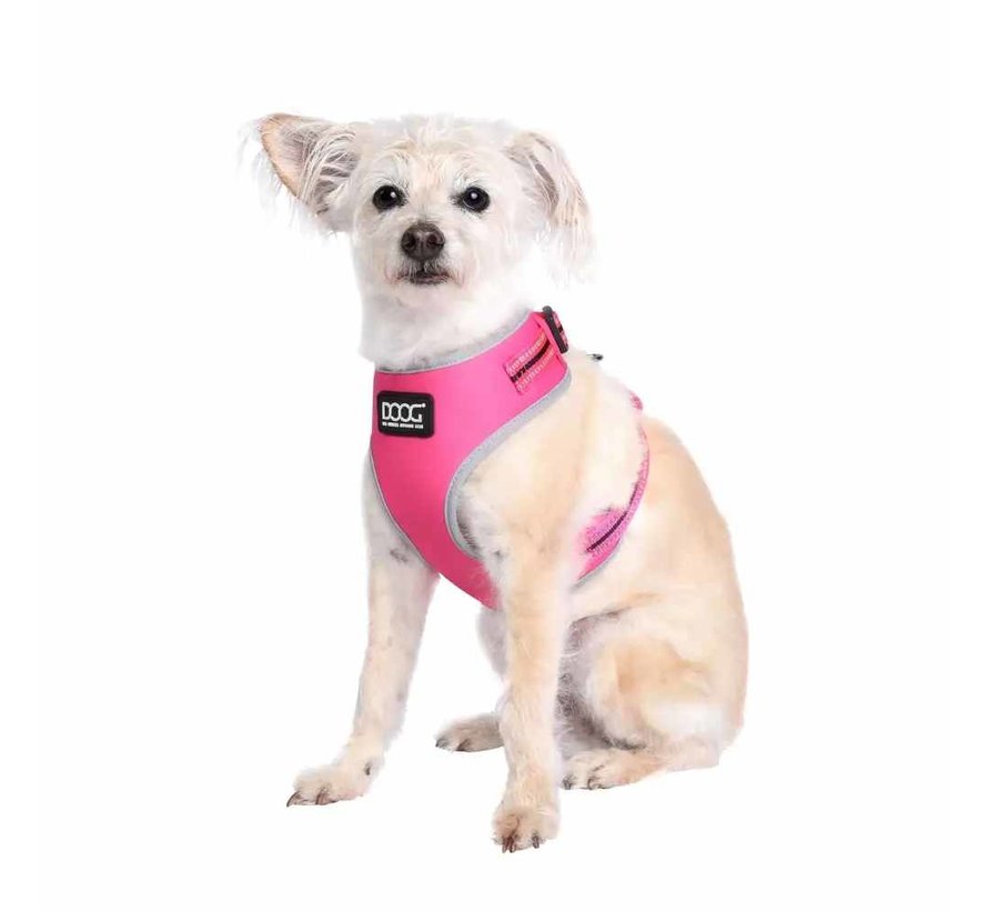 Dog Harness Neon Lady