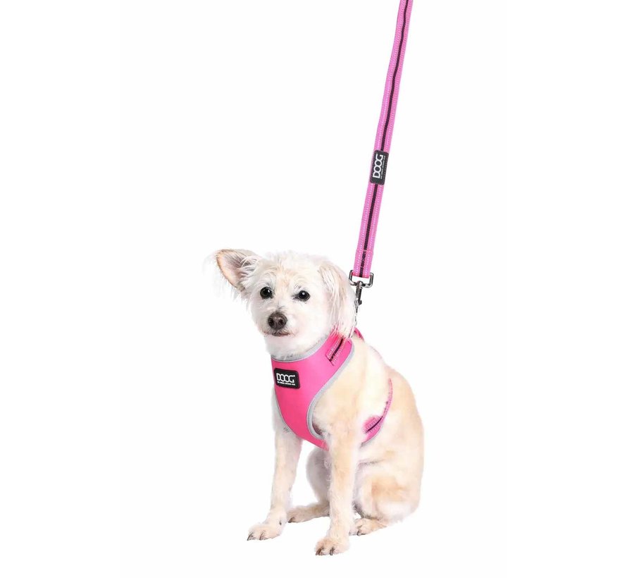 Dog Harness Neon Lady