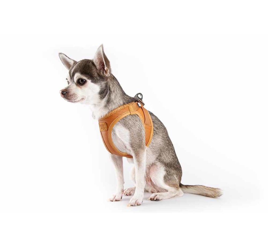 Dog Harness Clasp Vest Apple Leather Brown