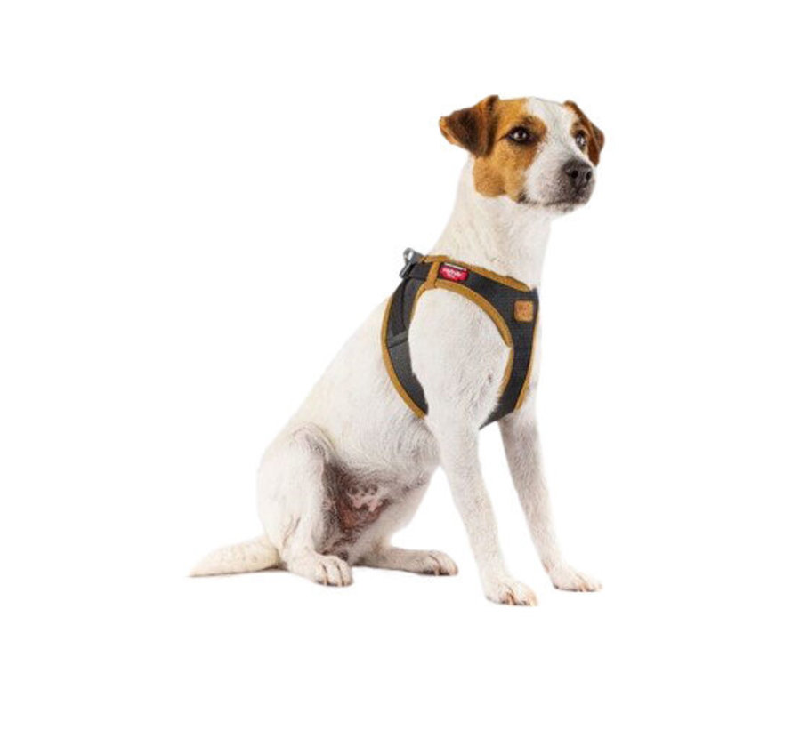 Dog Harness Clasp Vest Apple Leather Black