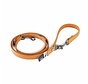 Dog Leash Apple Leather Brown