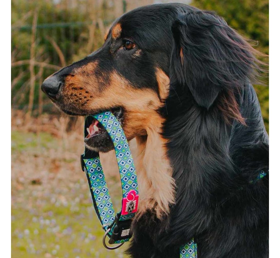 Dog Collar Retro Blue