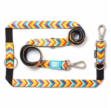 Max & Molly Dog Leash Multi Function Summertime