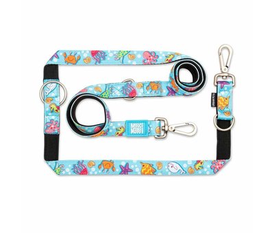 Max & Molly Dog Collar Blue Ocean