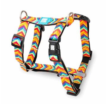 Max & Molly Dog Harness Summertime