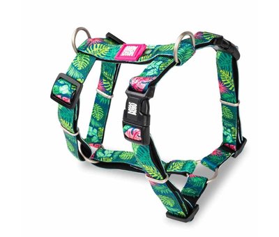 Max & Molly Dog Harness Tropical