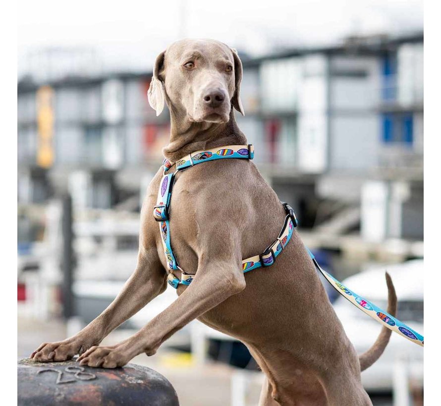 Dog Harness Aloha