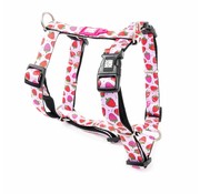 Max & Molly Dog Harness Strawberry Dream