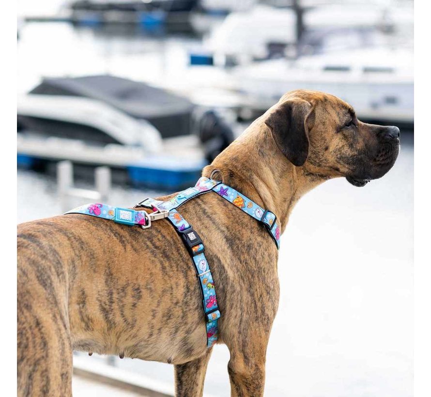 Dog Harness Blue Ocean