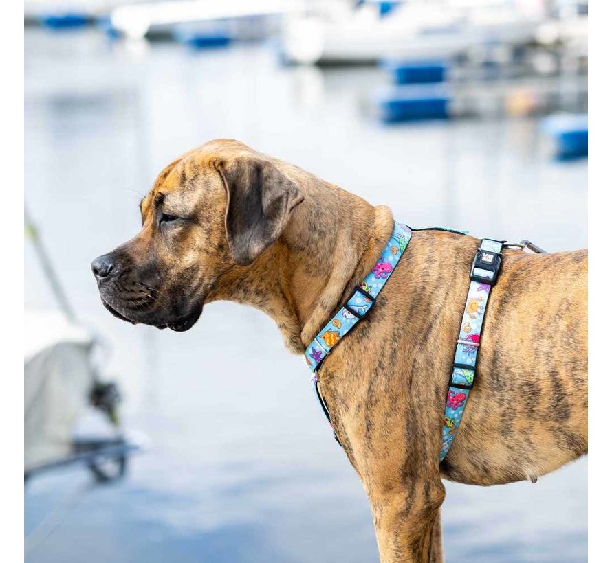 Dog Harness Blue Ocean