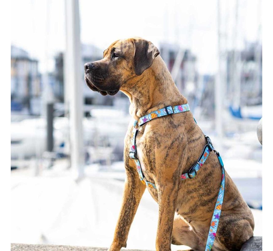 Dog Harness Blue Ocean