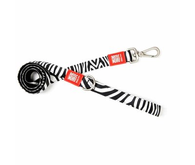 Max & Molly Dog Collar Zebra