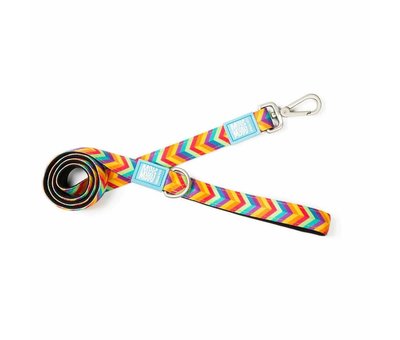 Max & Molly Dog Harness Summertime