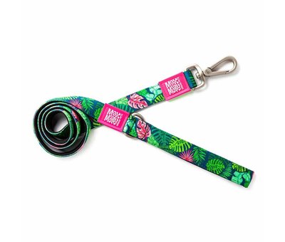 Max & Molly Dog Collar Tropical