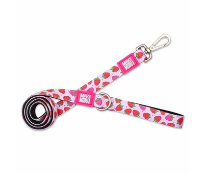 Max & Molly Dog Collar Strawberry Dream