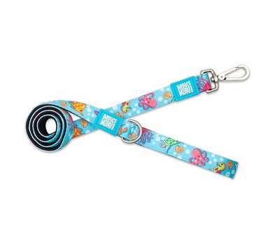 Max & Molly Dog Collar Blue Ocean