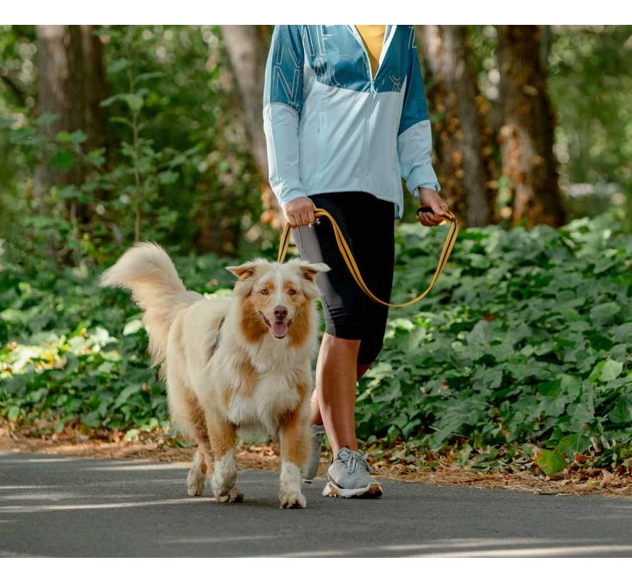 Dog Leash Airtech Classic Ochre