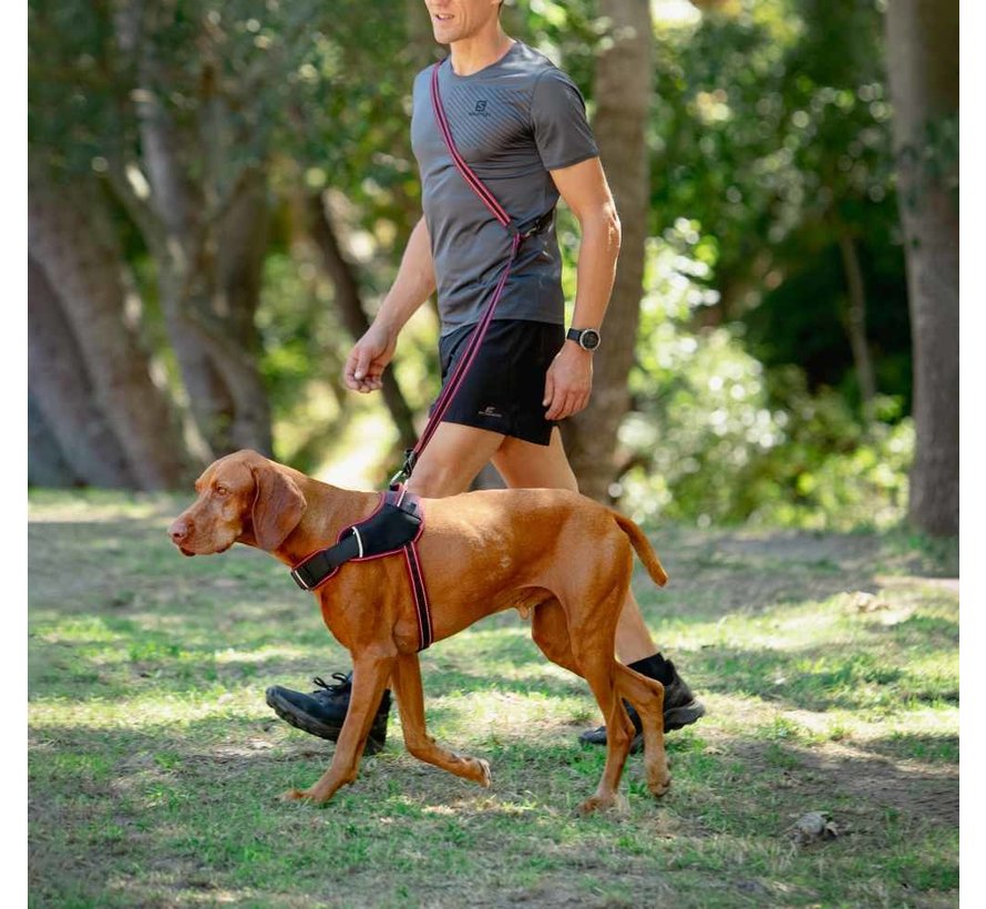 Dog Leash Airtech Classic Red