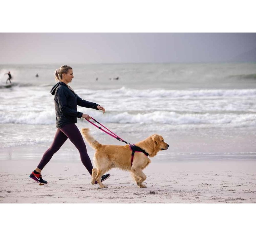 Dog Harness Airtech Sport Pink